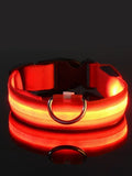Rot